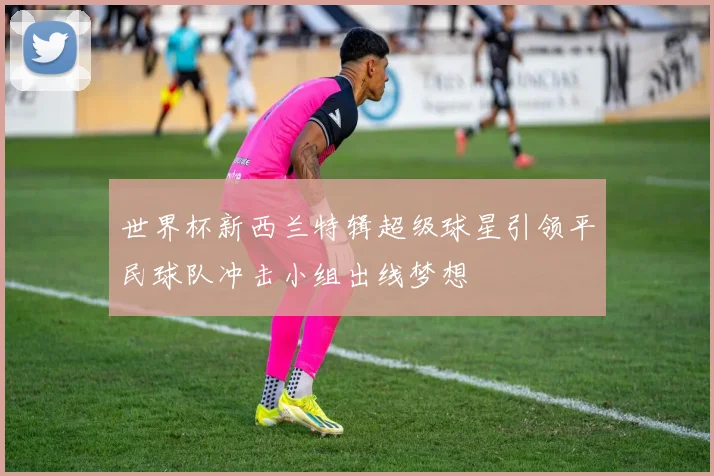 世界杯新西兰特辑超级球星引领平民球队冲击小组出线梦想
