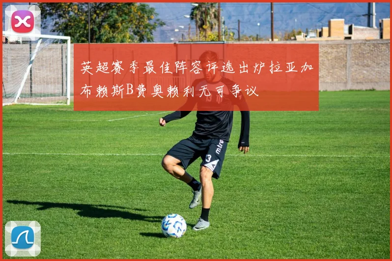 英超赛季最佳阵容评选出炉拉亚加布赖斯B费奥赖利无可争议