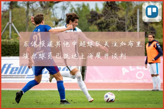 东体报道其他中超球队关注加布里埃尔球员已抵达上海展开谈判